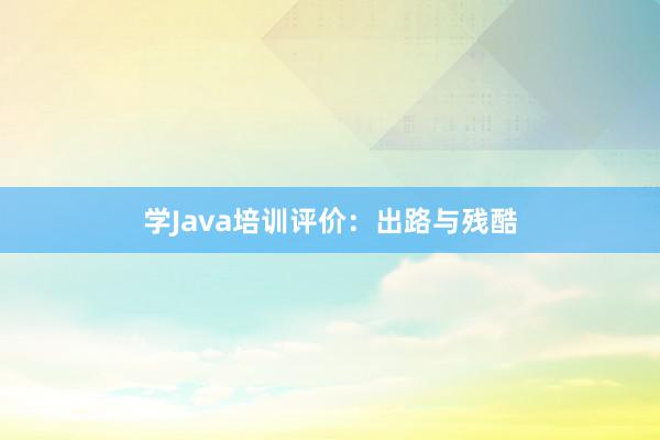 学Java培训评价：出路与残酷